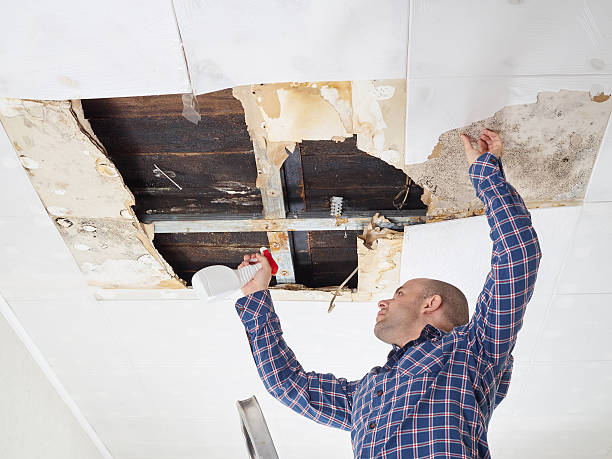 Best Industrial Mold Remediation  in Hermosa Beach, CA